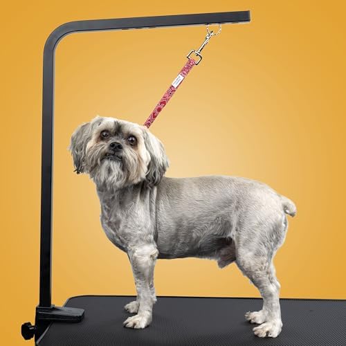 Country Brook Petz - Image 2