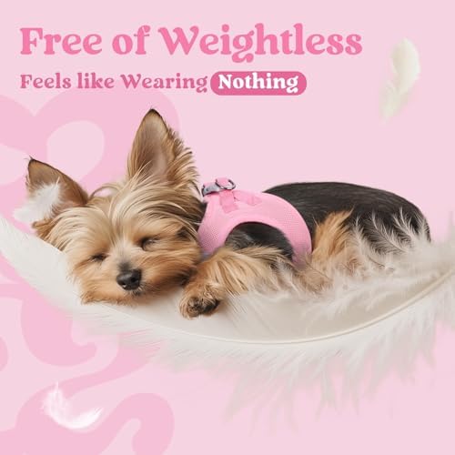 rabbitgoo Step-in Small Dog Harness, Puppy Vest - Image 5