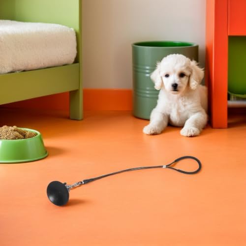 Dog Bathing Tether Steel Wire Leash Adjustable - Image 4