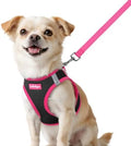 rabbitgoo Dog Harness Small Sized and Leash Set, Step in Soft Vest by rabbitgoo