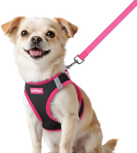 rabbitgoo Dog Harness Small Sized and Leash Set, Step in Soft Vest by rabbitgoo