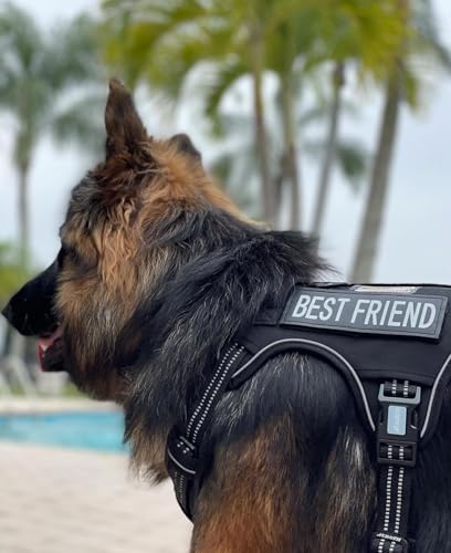 AUROTH Dog Harness for Large Dogs, No Pull Tactical Dog Vest Heavy Duty - Image 6
