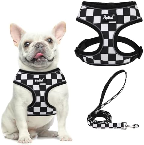 PUPTECK Small Dog Harness and Leash Set No Pull by PUPTECK