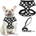 PUPTECK Small Dog Harness and Leash Set No Pull by PUPTECK
