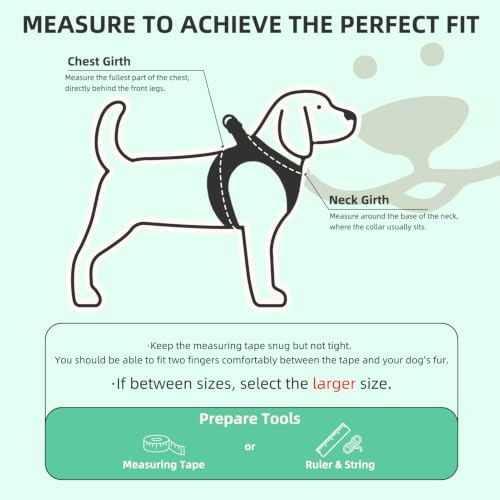 PUPTECK Adjustable Dog Harness Collar and Leash Set Step in No Pull Pet Harness - Image 2