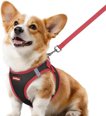 rabbitgoo Dog Harness Small Sized and Leash Set, Step in Soft Vest by rabbitgoo