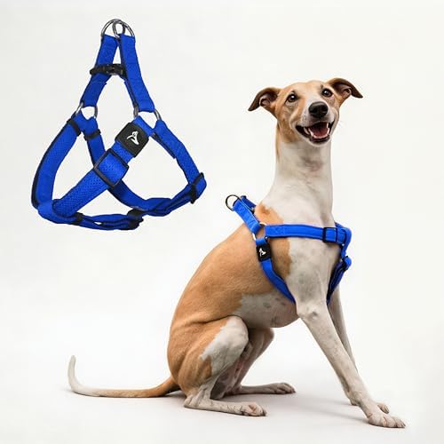 Kruz No Pull Dog Harness Heavy-Duty Pet Harness by KRUZPET