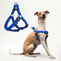Kruz No Pull Dog Harness Heavy-Duty Pet Harness by KRUZPET