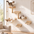 Cat Wall Shelves for Large Cats Wall Mounted Climbing Set by ALeesing