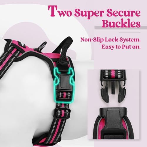 rabbitgoo Dog Harness, No Pull for Large Dogs - Image 3