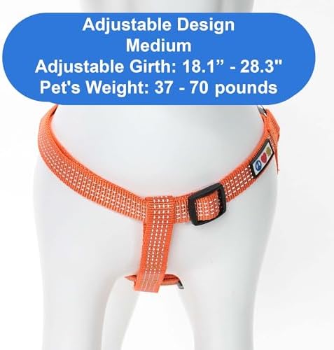 Pawtitas Reflective Step-in Dog Harness – Adjustable No-Pull Vest - Image 3