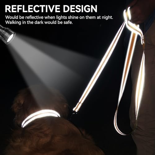 Joytale Reflective Dog Leash for Small Dogs, 4 FT x 3/4" - Image 4