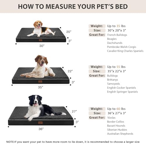 WNPETHOME Orthopedic Waterproof Large Sized Senior Dogs Bed - Image 6