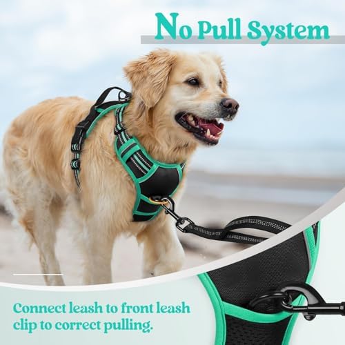 rabbitgoo Dog Harness, No Pull for Small Dogs - Image 5