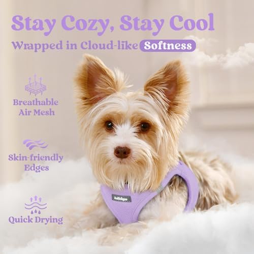 rabbitgoo Step-in Small Dog Harness, Puppy Vest - Image 3