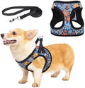 KOOLTAIL Dog Harness and Leash Set by KOOLTAIL