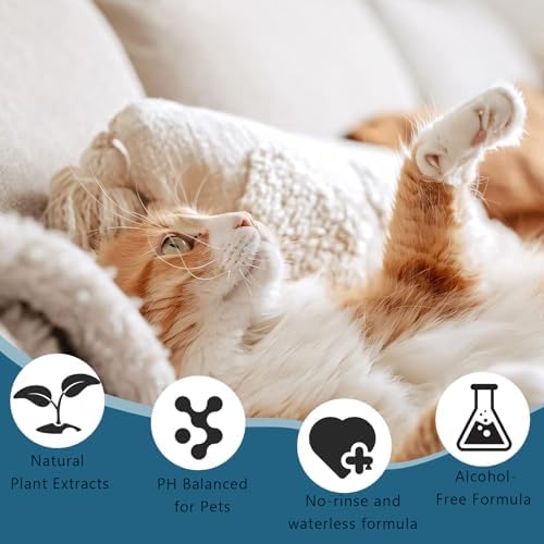 Pet Steam Brush for Dog & Cat – 3-in-1 Spray Hair Removal for Grooming - Image 4