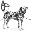 Freedom No Pull Dog Harness, Large Dogs by APDEXY%7CEspeciallyFurYou