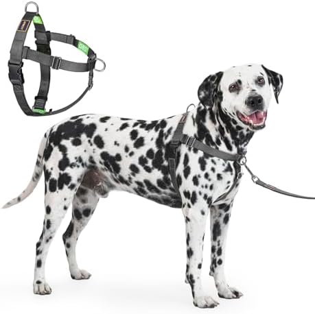 Freedom No Pull Dog Harness, Large Dogs by APDEXY%7CEspeciallyFurYou