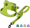 BELLA & PAL Step in Puppy Harness and Leash Set by BELLAPAL