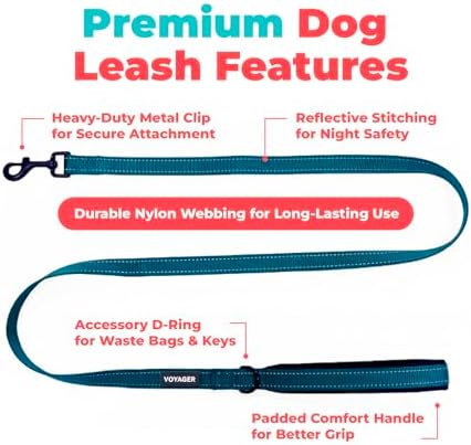 Best Pet Supplies Voyager Nylon Dog Leash - 6ft Blue - Image 2