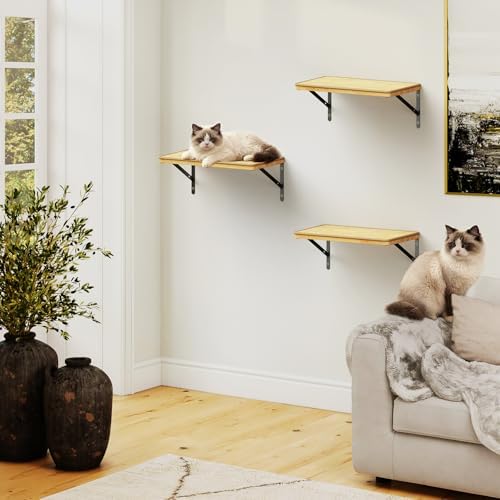 3Pcs 14"×8" Large Cat Wall Shelves - Image 2