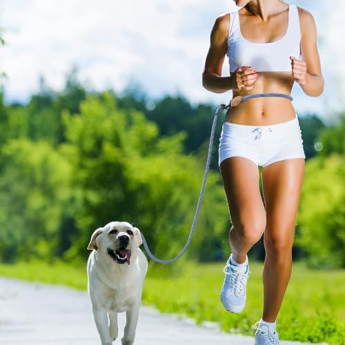 Mile High Life Hands Free Dog Leash, Crossbody Waist Leash - Image 2