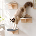 3 Pcs Cat Wall Steps, 7.5-Inch Cat Wall Shelves by YAQUHO