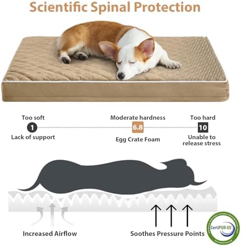 WNPETHOME Orthopedic Waterproof Dog Bed Medium - Image 3