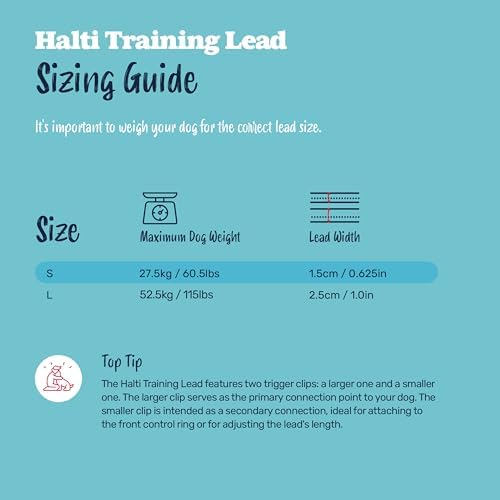 Halti Training Dog Leash | Size S, Cobalt Blue | 2m Length - Image 5