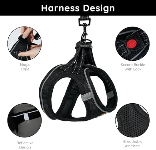 BELLA & PAL Step in Puppy Harness and Leash Set - Image 2
