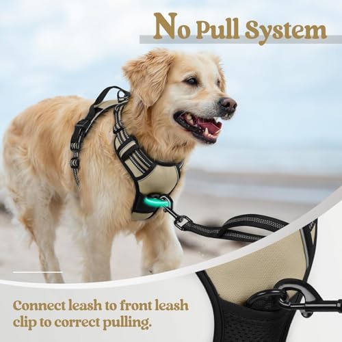 rabbitgoo Dog Harness, No Pull Medium Sized - Image 5