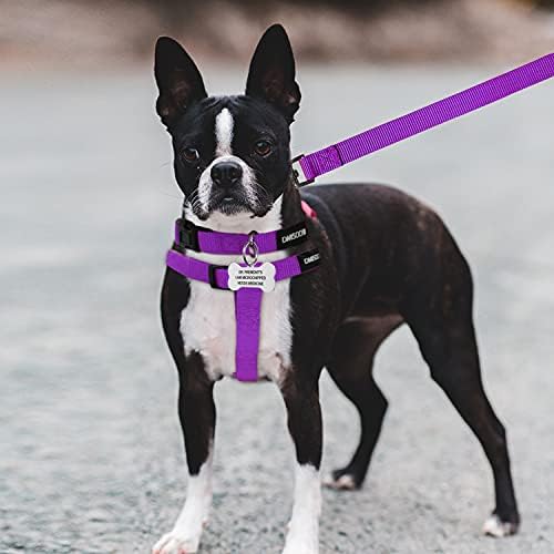 No Pull Dog Harness, Leash & Collar Set, Adjustable Step-in Vest - Image 5