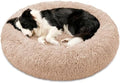 JOLLYVOGUE Calming Washable Dog Bed Medium Size Dog, 31 Inch Donut Medium Dog by JOLLYVOGUE