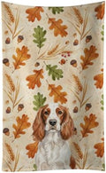 Caroline's Treasures Welsh Springer Spaniel Dogs Kitchen Towel 15x25 in by CarolinesTreasures