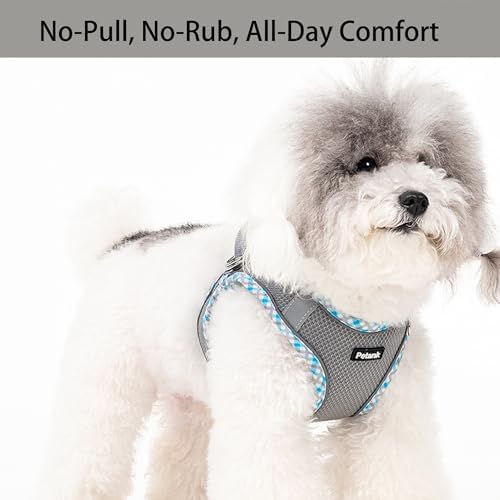 Petank Step in Dog Harness No Pull and Leash - Image 2