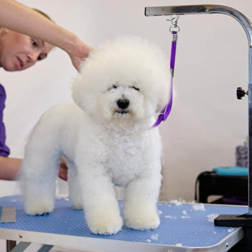 Pet Grooming Loop for Dogs - Image 7