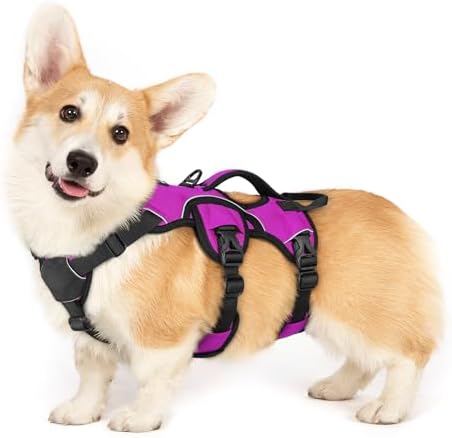 rabbitgoo Escape Proof Dog Harness by rabbitgoo