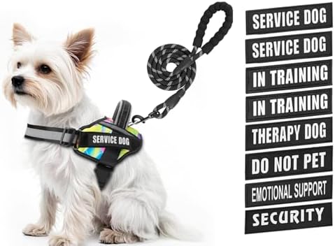 Service Dog Vest Harness and Leash Set, Animire in Training Dog Harness by Animire