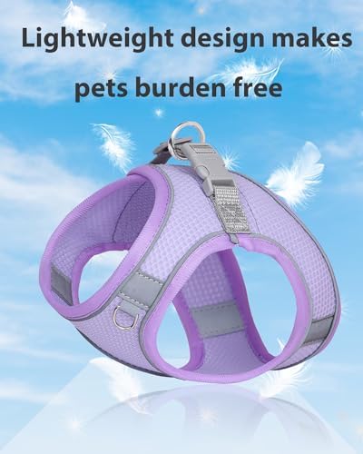 Dog Harness & Leash Set - Image 3