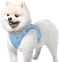 rabbitgoo Step-in Small Dog Harness, Puppy Vest by rabbitgoo