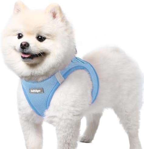 rabbitgoo Step-in Small Dog Harness, Puppy Vest by rabbitgoo