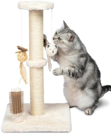 Best Pet Supplies Catify Cat Scratching Post by BestPetSuppliesLLC