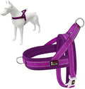 Plutus Pet No Pull Dog Harness for Medium Sized Dog, Breathable Mesh Padded by PLUTUSPET