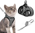 rabbitgoo Cat Harness and Leash Set, Step-in Soft Vest by rabbitgoo