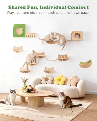 16 in 1 Solid Wood Cat Wall Shelves - Image 2