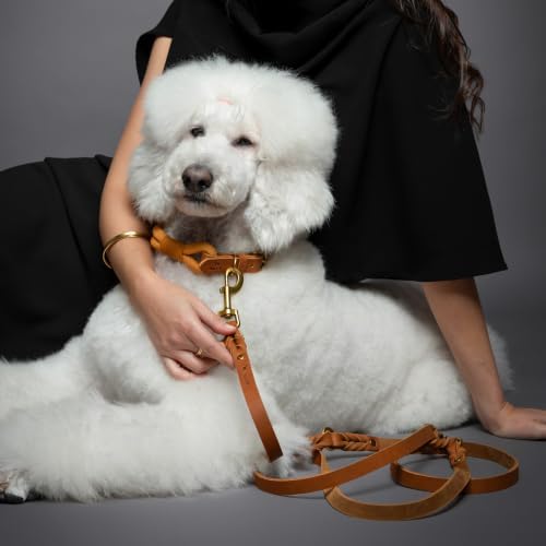 Noah & Paw Hands Free Dog Leash Leather Dog Leash - Image 2