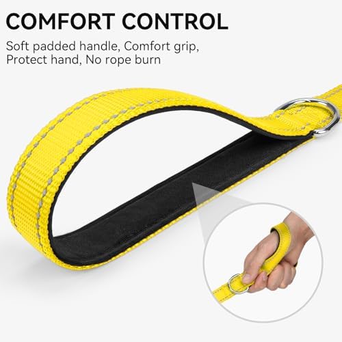 Joytale Reflective Dog Leash for Small Dogs, 5 FT x 3/4" - Image 3