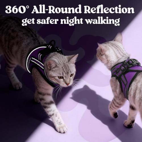 rabbitgoo Cat Harness and Leash Set, Step-in Soft Vest - Image 6