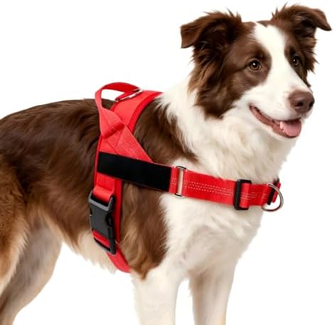 Pawly Lab Co No-Pull Harness, 3-Point Adjustable & Reflective（L） by Unknown